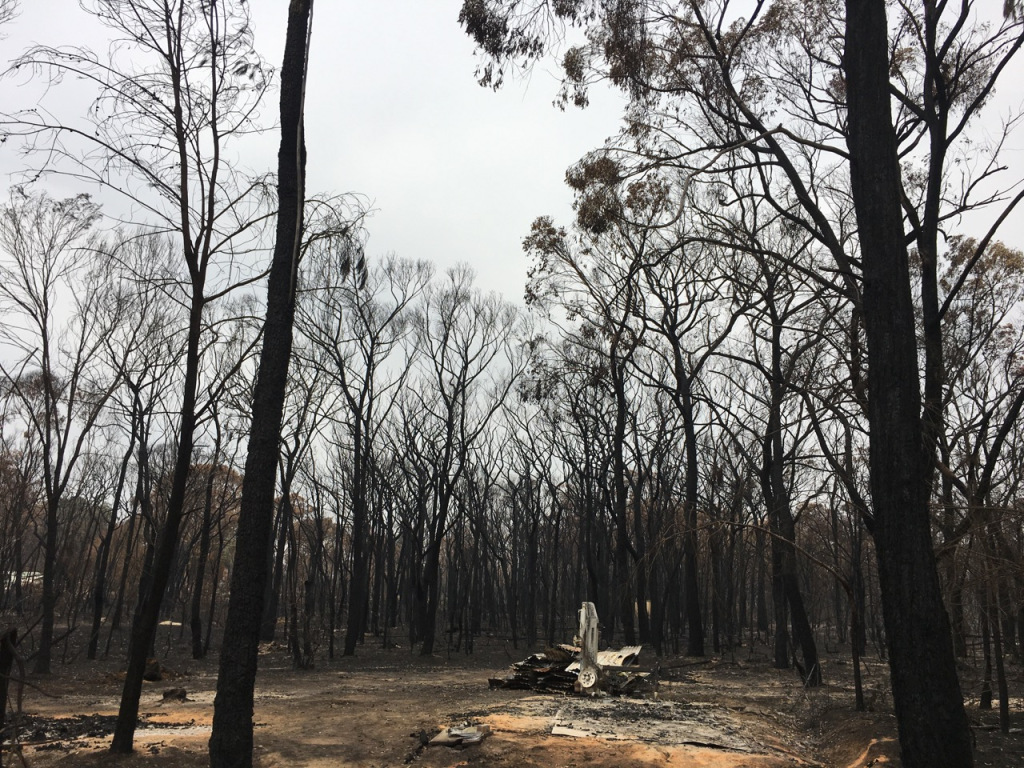 Australian bushfire support